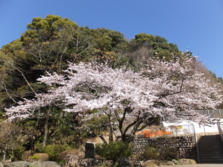 DSCF0789.JPG