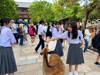 Image_20240520_153335_795.jpg