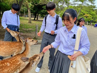 Image_20240520_153336_133.jpg