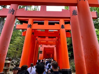 Image_20240521_094912_260.jpg