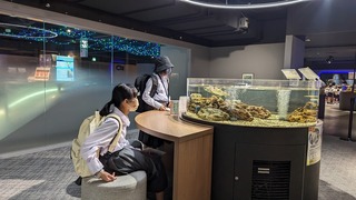 PXL_20240521_012709764.jpg
