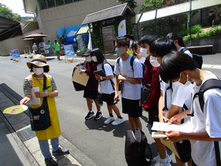 IMG_1724.jpg