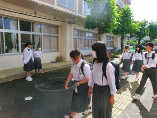 CIMG0292.jpg