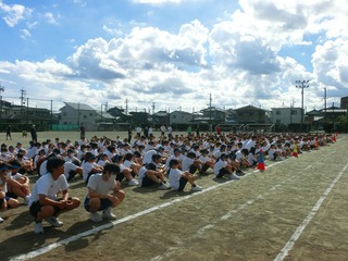 CIMG0316.jpg