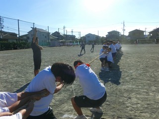 CIMG0332.jpg