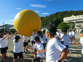 CIMG0313.jpg