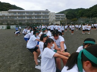 CIMG0334.jpg
