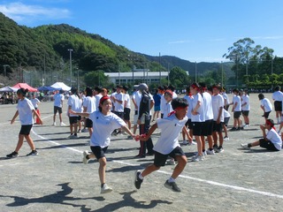 CIMG0362.jpg