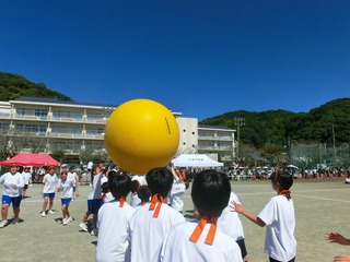 CIMG0397.jpg
