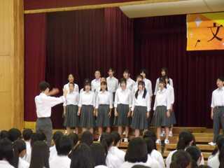 DSCF2311.JPG