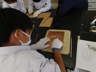 DSCN0145.jpg