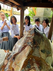 Image_20250522_124430_474.jpg