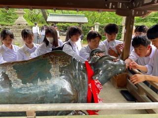 Image_20250522_132009_847.jpg