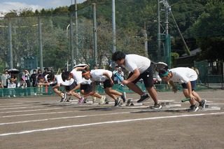 DSC00428.jpg