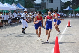 IMG_0595.jpg