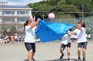 IMG_0668.jpg