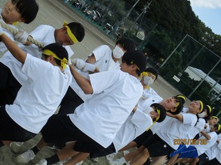 IMG_8640.jpg