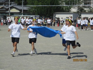 IMG_8726.jpg