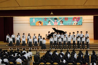 IMG_1239.jpg