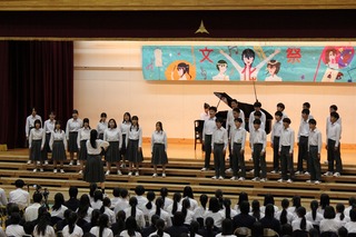 IMG_1274.jpg