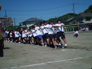 CIMG0310.jpg
