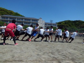 CIMG0315.jpg