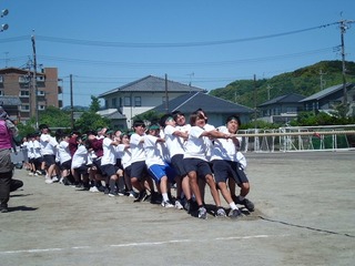 CIMG0318.jpg