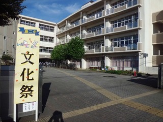 CIMG0442.jpg